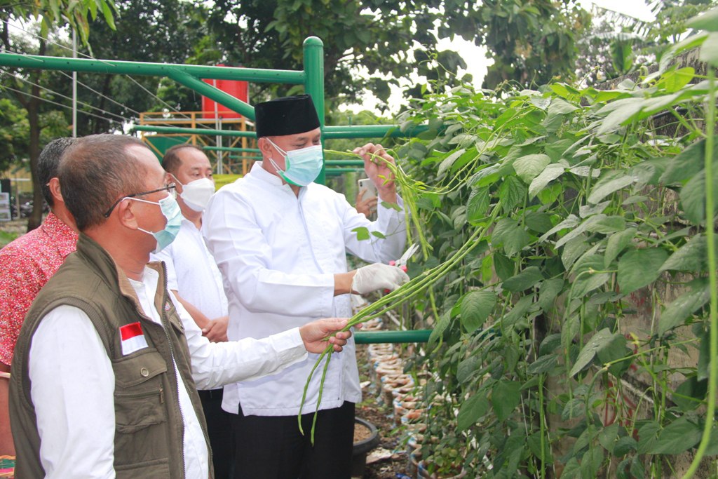 Wakil Wali Kota Bekasi Tri Adhianto Saat Meresmikan Kebun Ketahanan Pangan Dan Kebun Anggur Di Lahan Fasos Fasum Perumahan Grand Prima Bintara