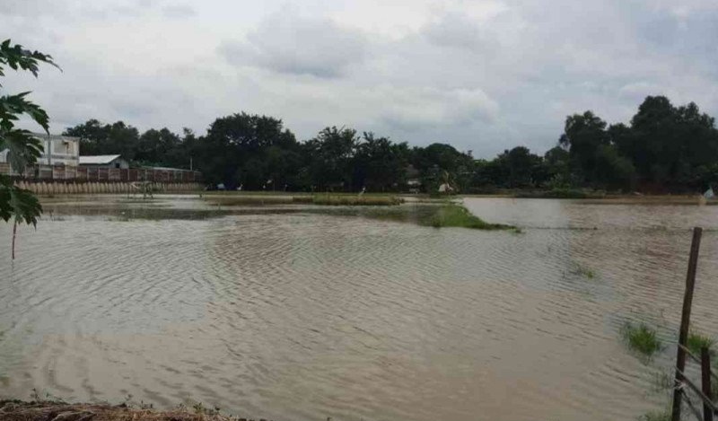 Petani Bekasi Korban Banjir Dibantu Bibit dan Pupuk