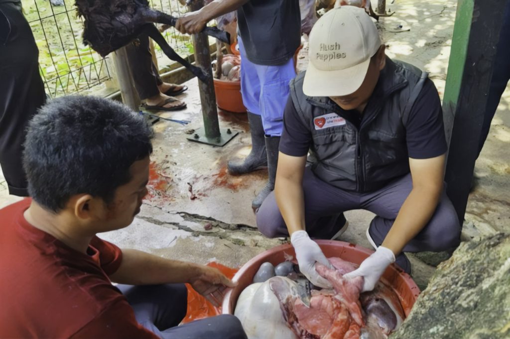 31.256 Hewan Kurban di Kabupaten Bekasi Bebas Penyakit